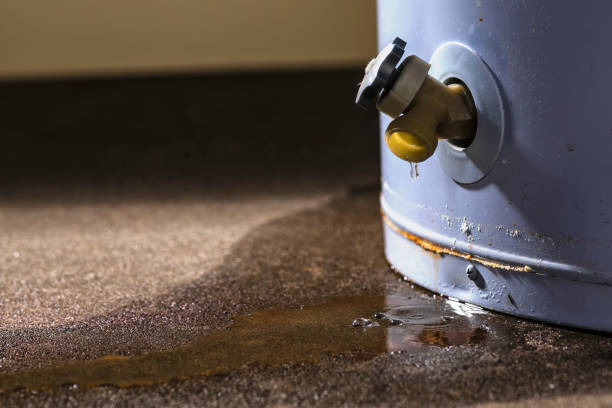 Professional Water damage restoration in West Carthage, NY