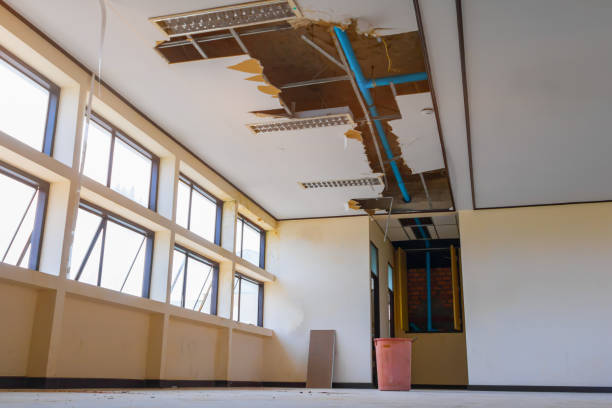 Best Ceiling water damage repair  in West Carthage, NY