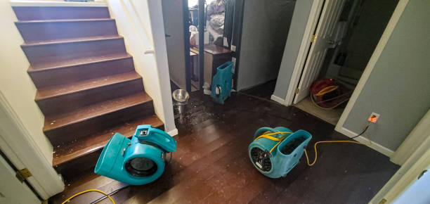 Best Water damage cleanup near me  in West Carthage, NY