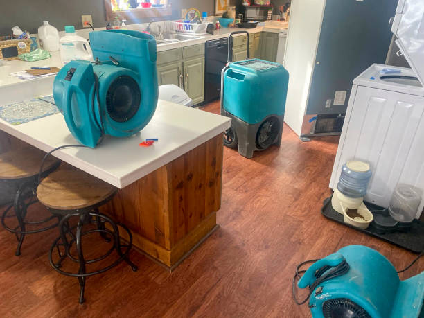 Best 24-hour water damage restoration  in West Carthage, NY