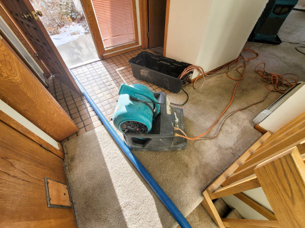 Best Local water damage restoration  in West Carthage, NY