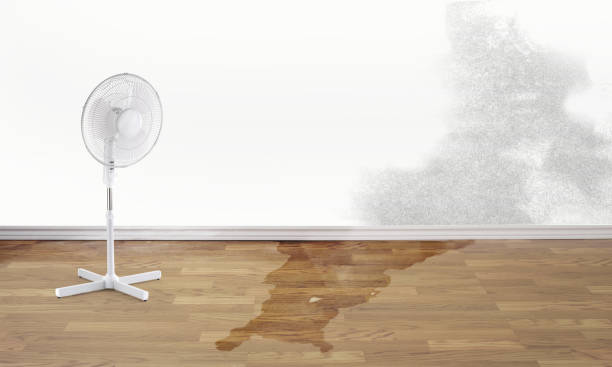 Best Residential water damage restoration  in West Carthage, NY