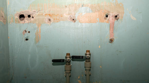 Best Water damage contractors near me  in West Carthage, NY