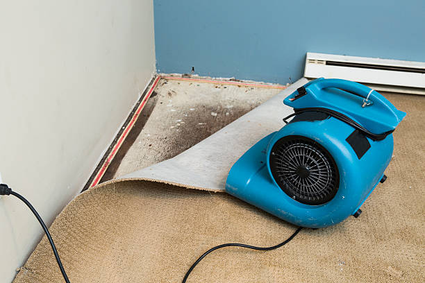 Best Water damage mitigation services  in West Carthage, NY